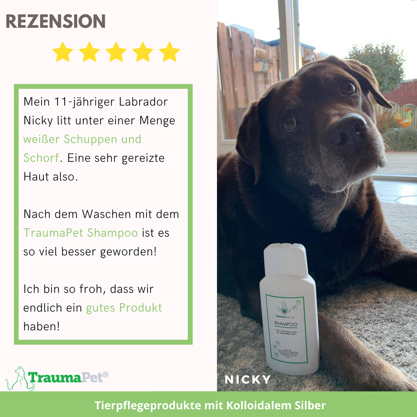 Shampoo mit kolloidalem Silber und ätherischen Ölen