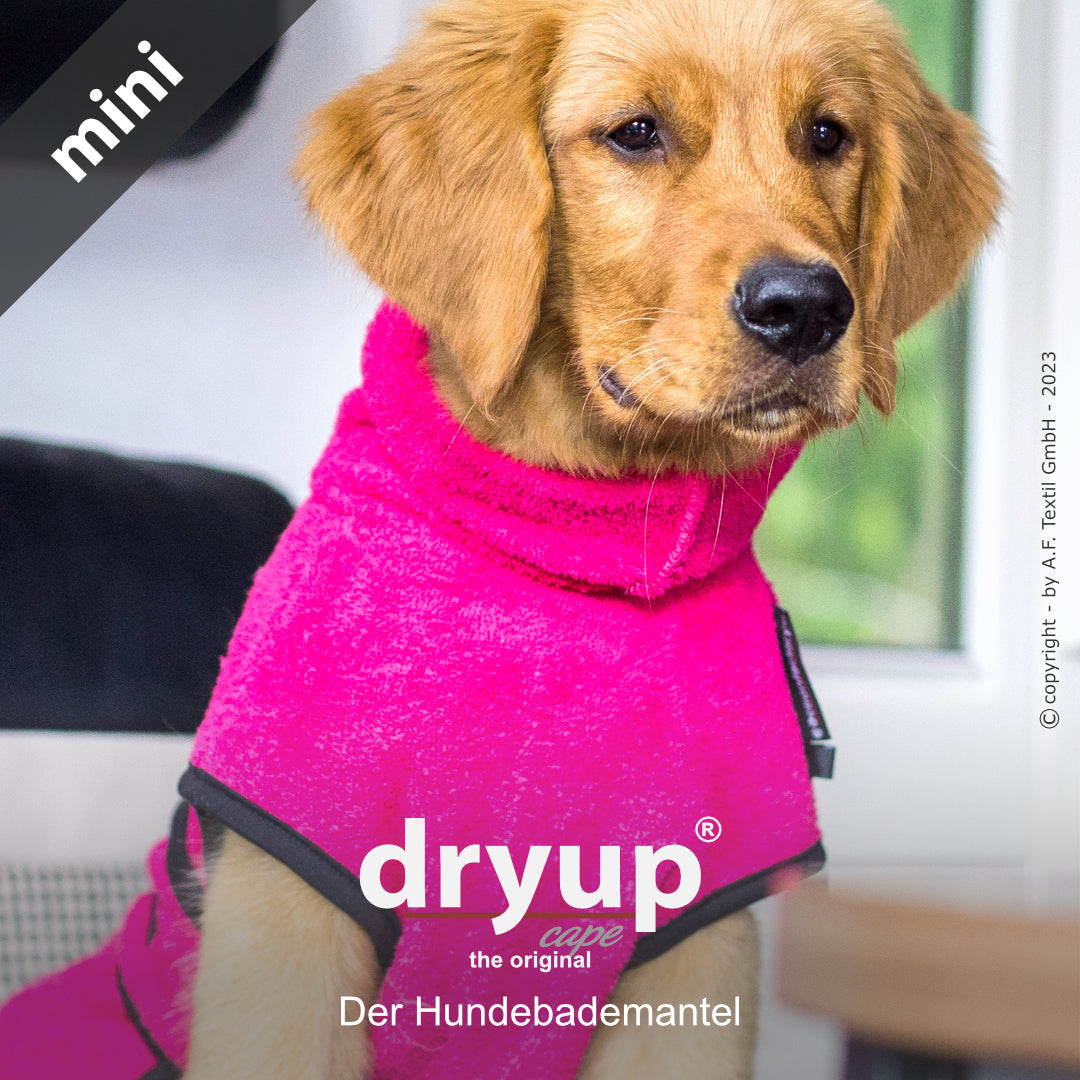actionfactory® - Hundebekleidung