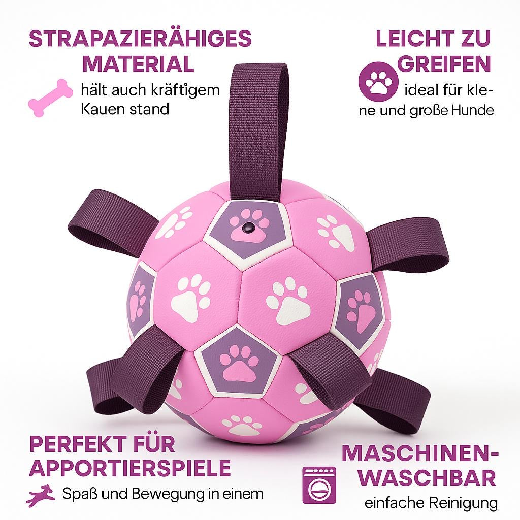 Hundespielball mit Seilen – Für Apportierspaß an Land & im Wasser
