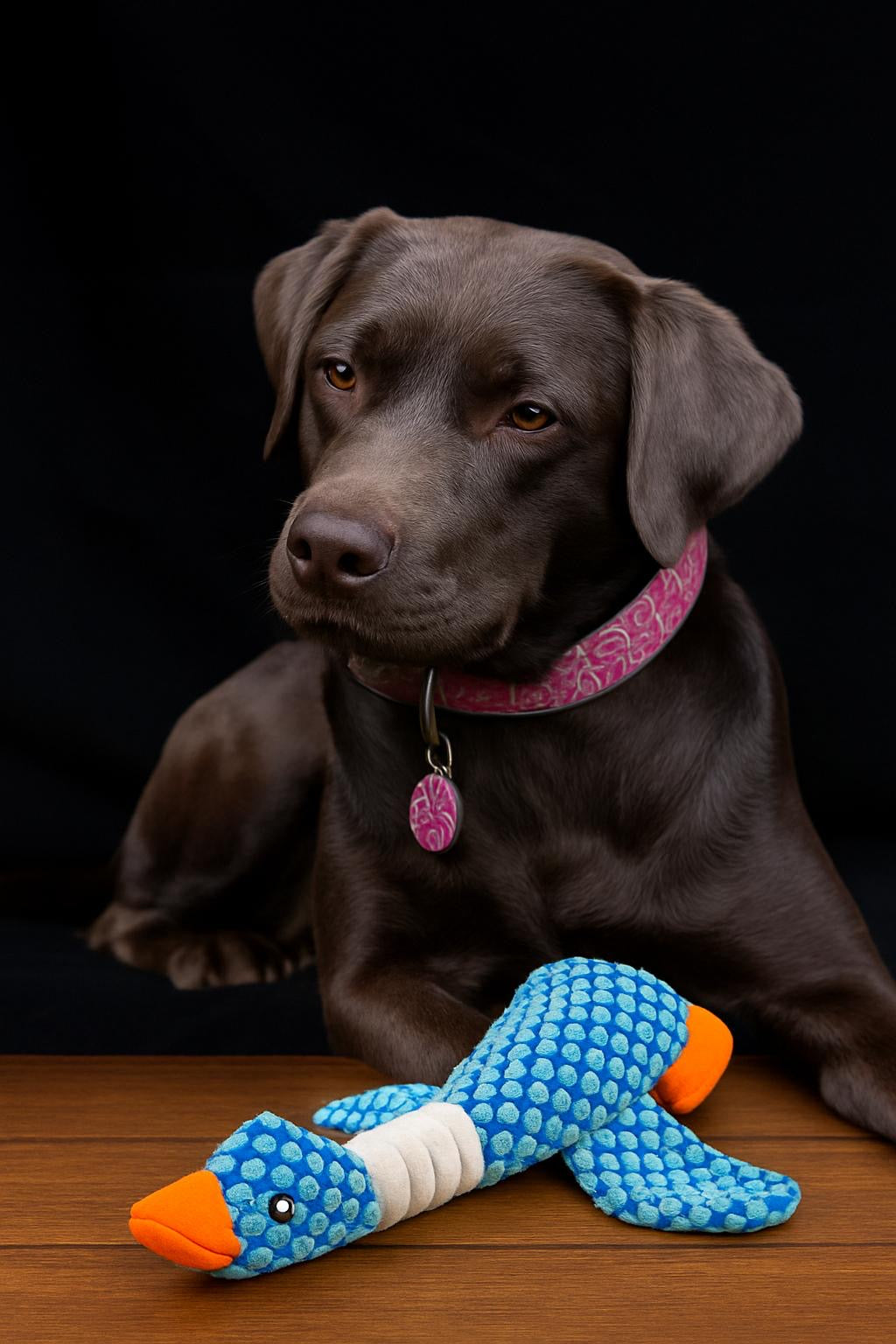 Spielzeug für Hunde - Ente (28 cm)