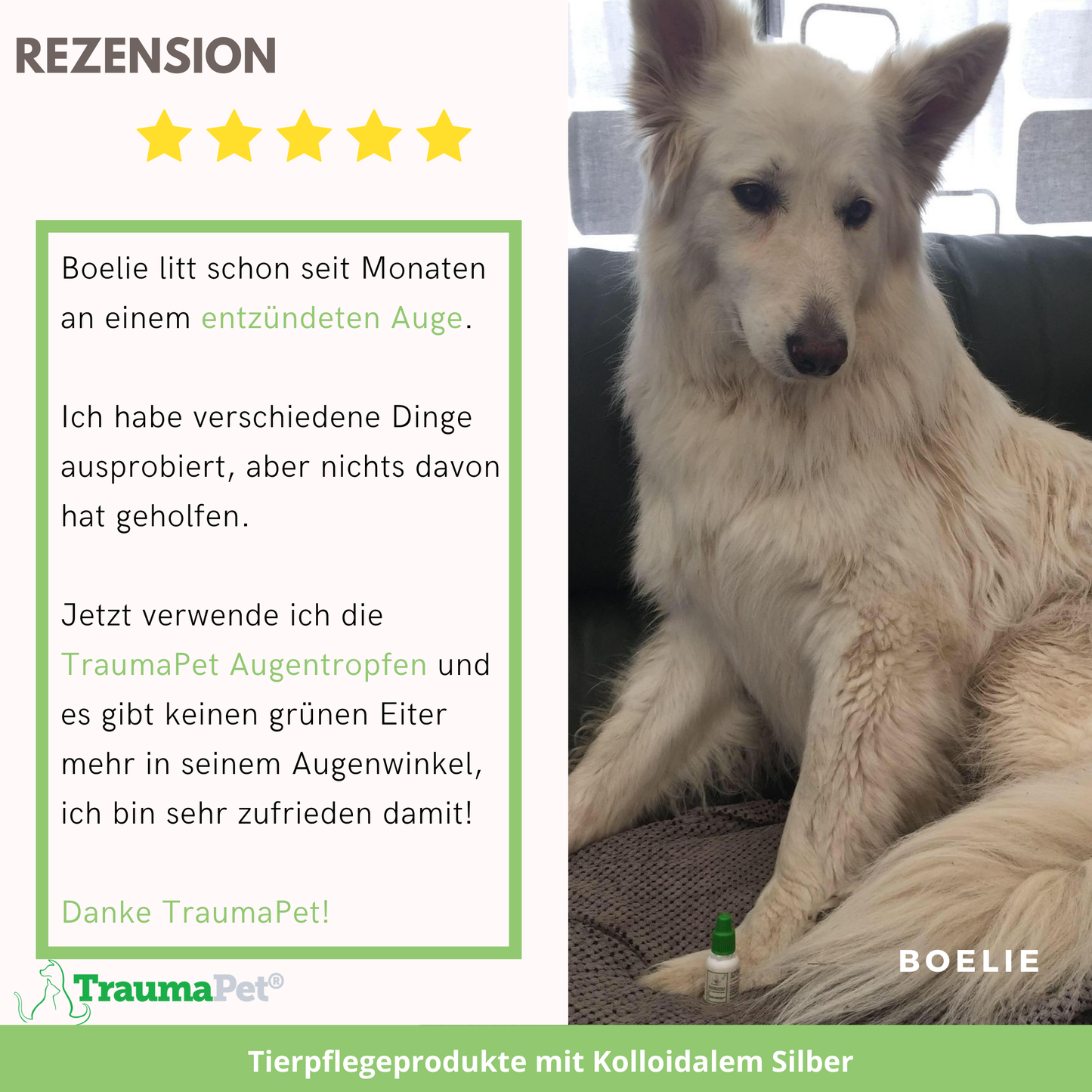 Kolloidale Silber-Augentropfen für Tiere