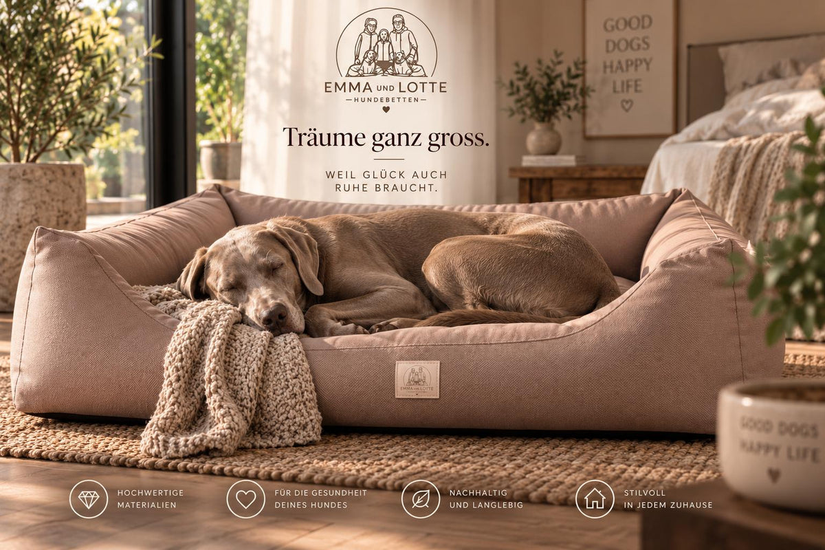 EMMA und LOTTE „Schnarchplatz“ abwaschbares Hundebett