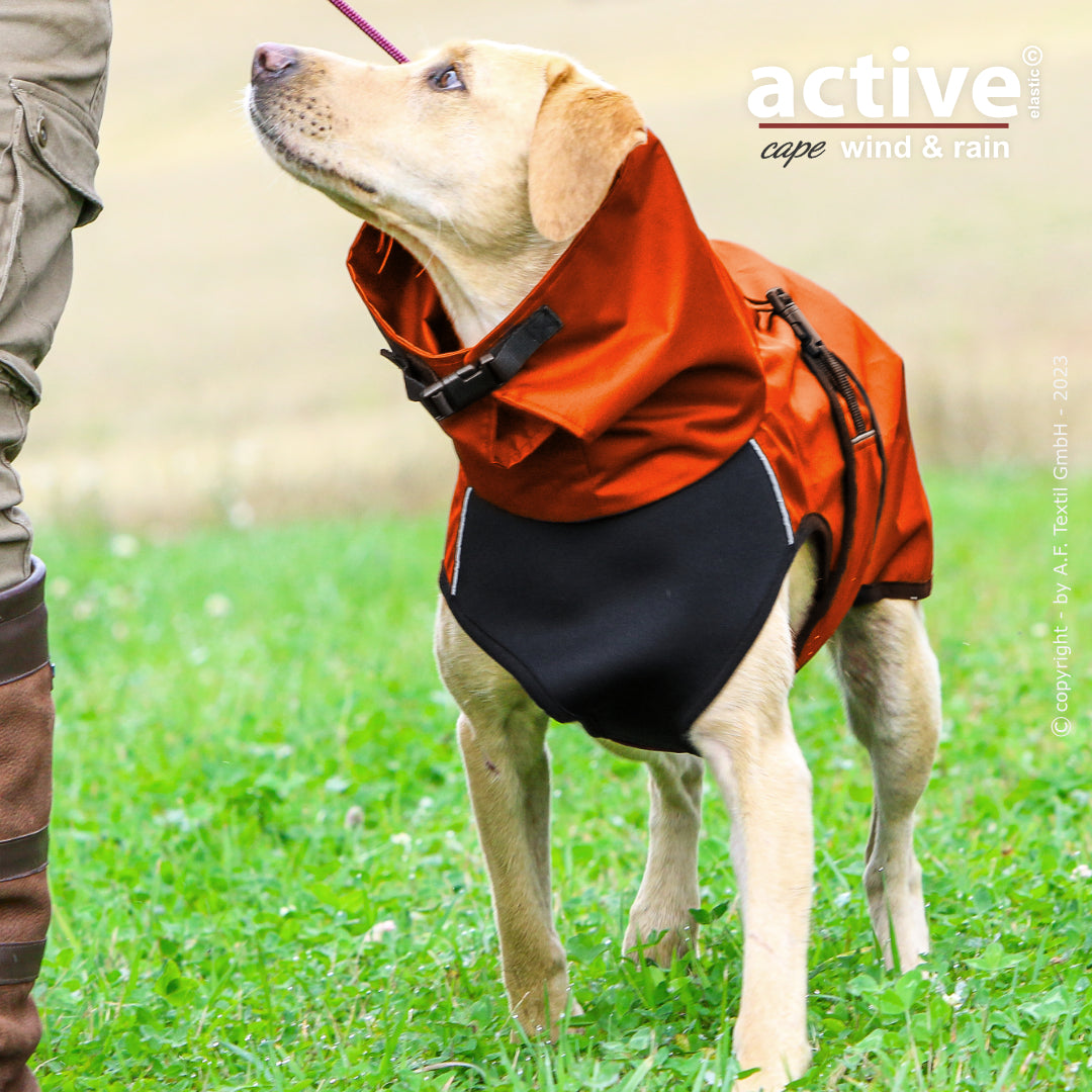 active© cape elastic wind & rain - XS-XXL
