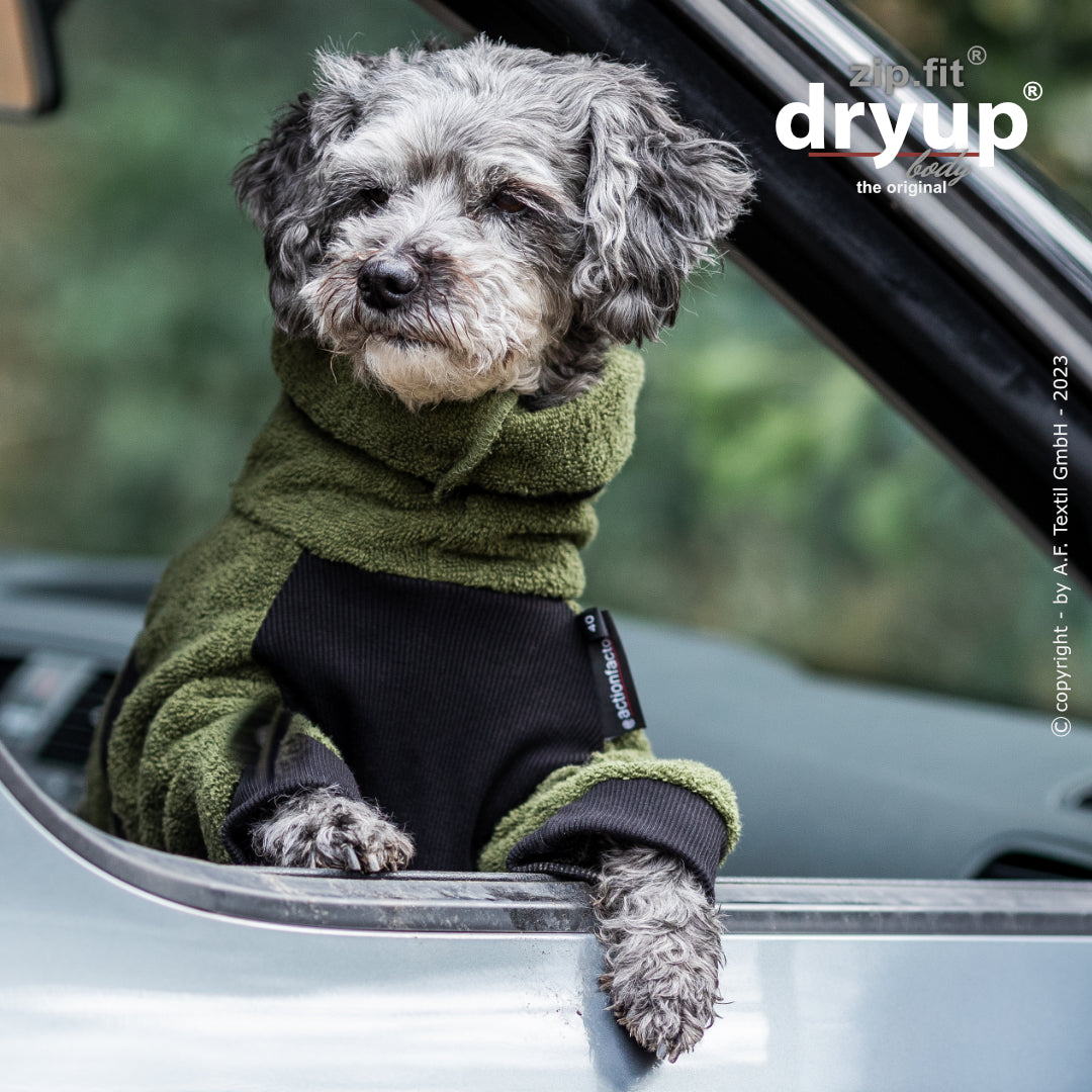 dryup® Body - Der original Hundebademantel als Body - mini