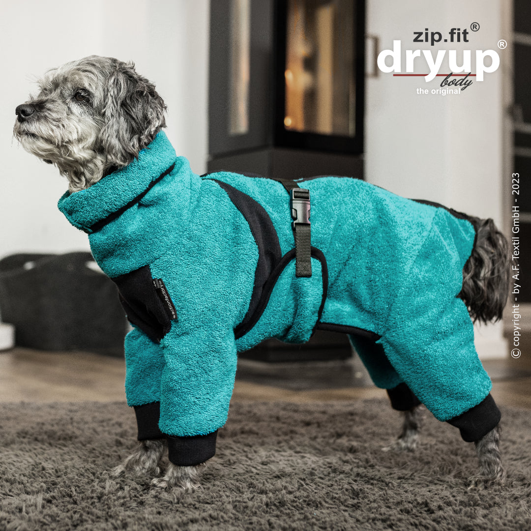 dryup® Body - Der original Hundebademantel als Body - mini