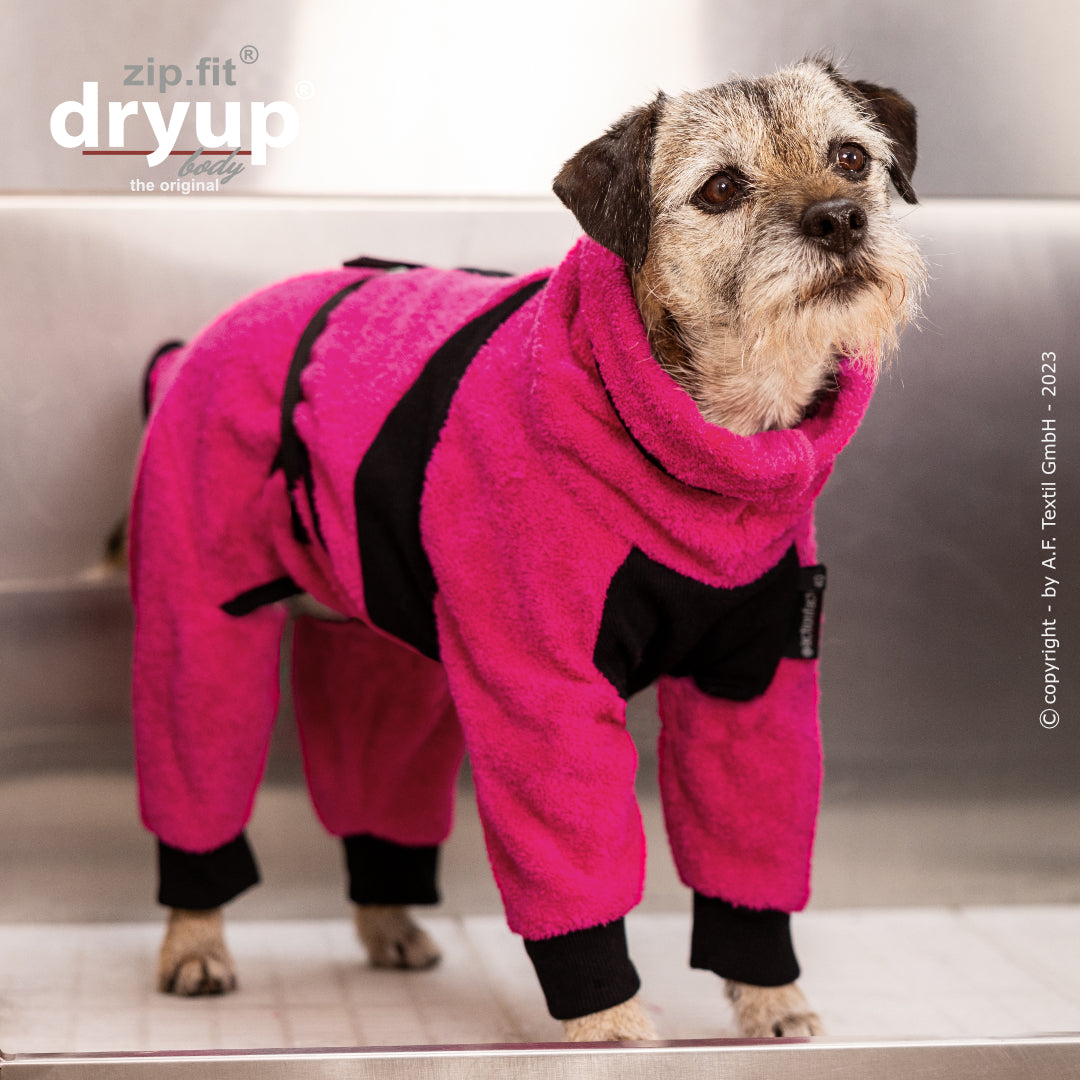 dryup® Body - Der original Hundebademantel als Body - mini