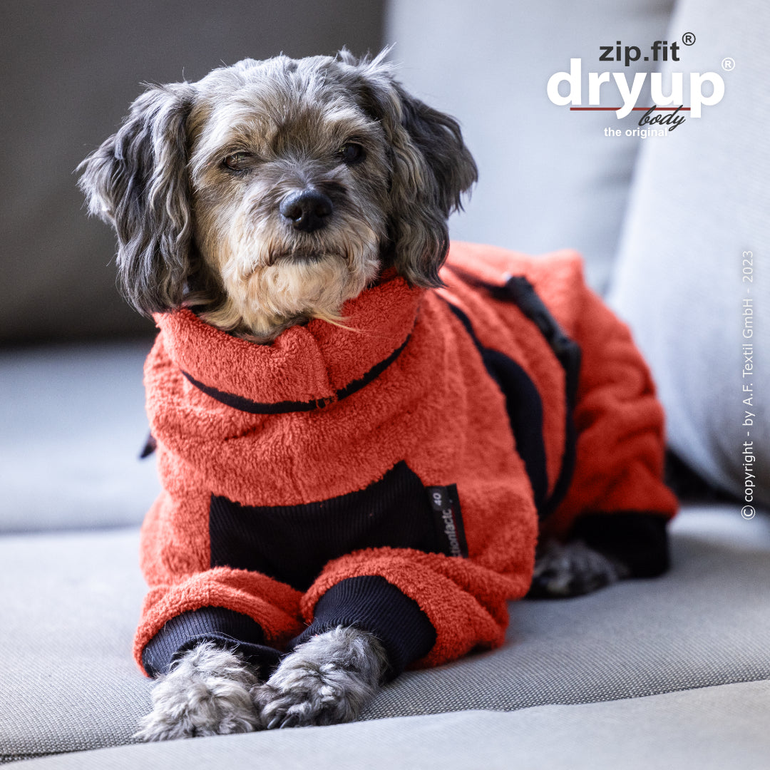 dryup® Body - Der original Hundebademantel als Body - mini