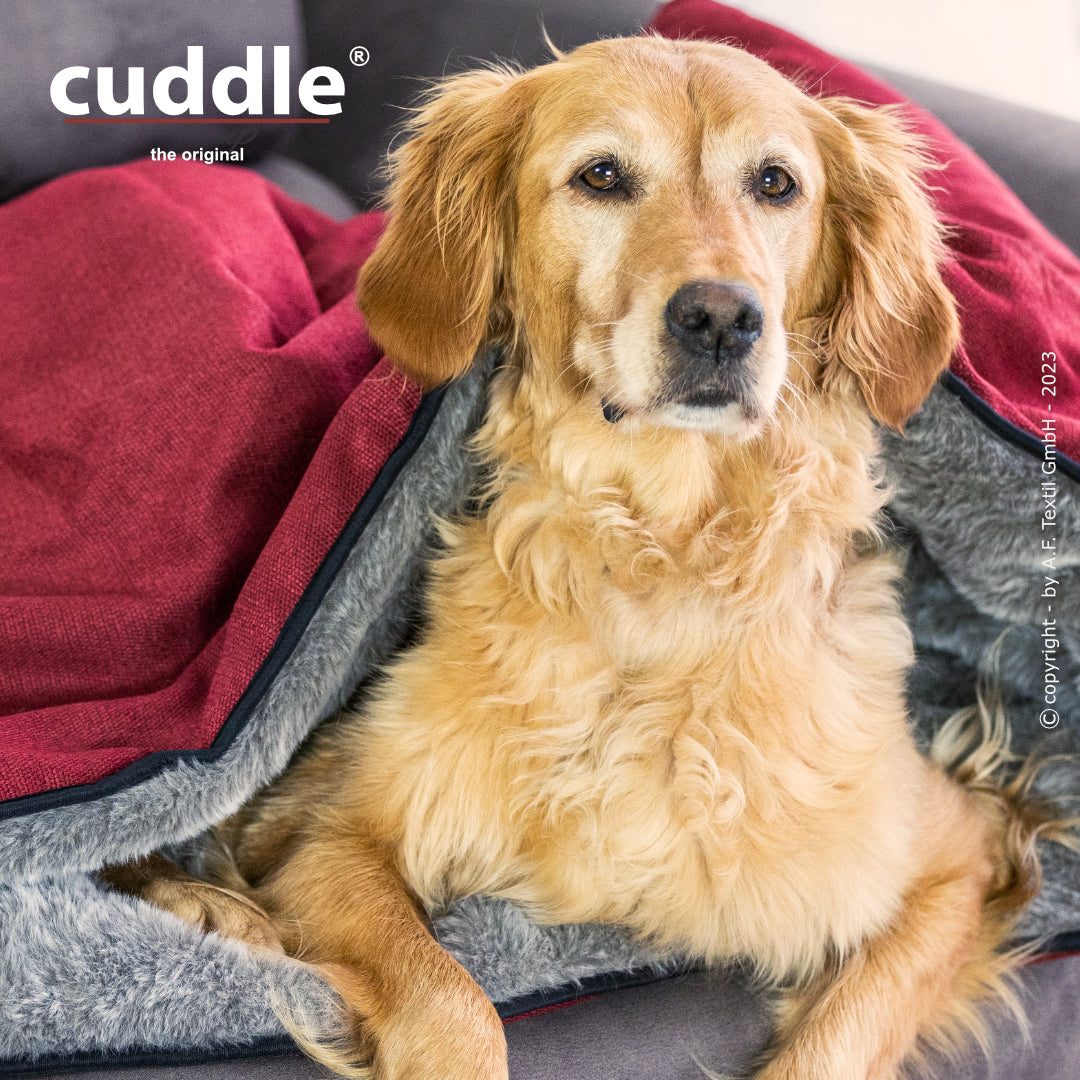 cuddle.up® - Der wandelbare Hundeliegeplatz - S-XL