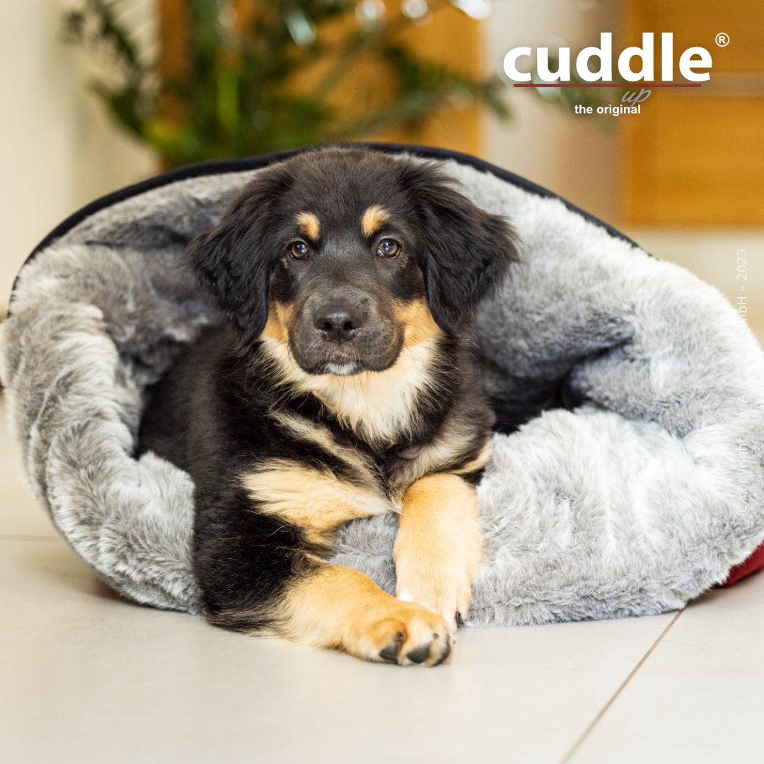 cuddle.up® - Der wandelbare Hundeliegeplatz - S-XL