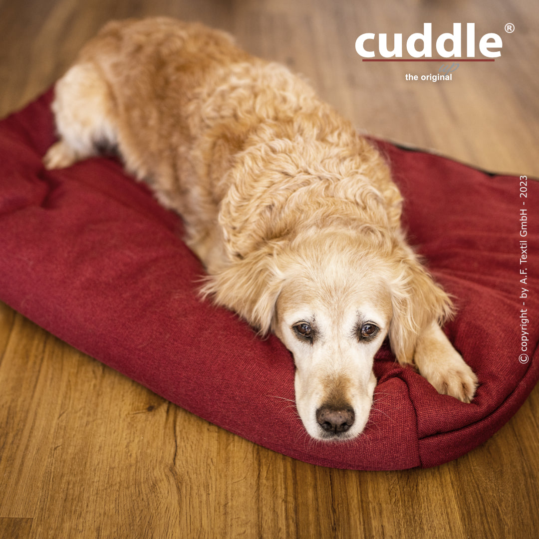 cuddle.up® - Der wandelbare Hundeliegeplatz - S-XL