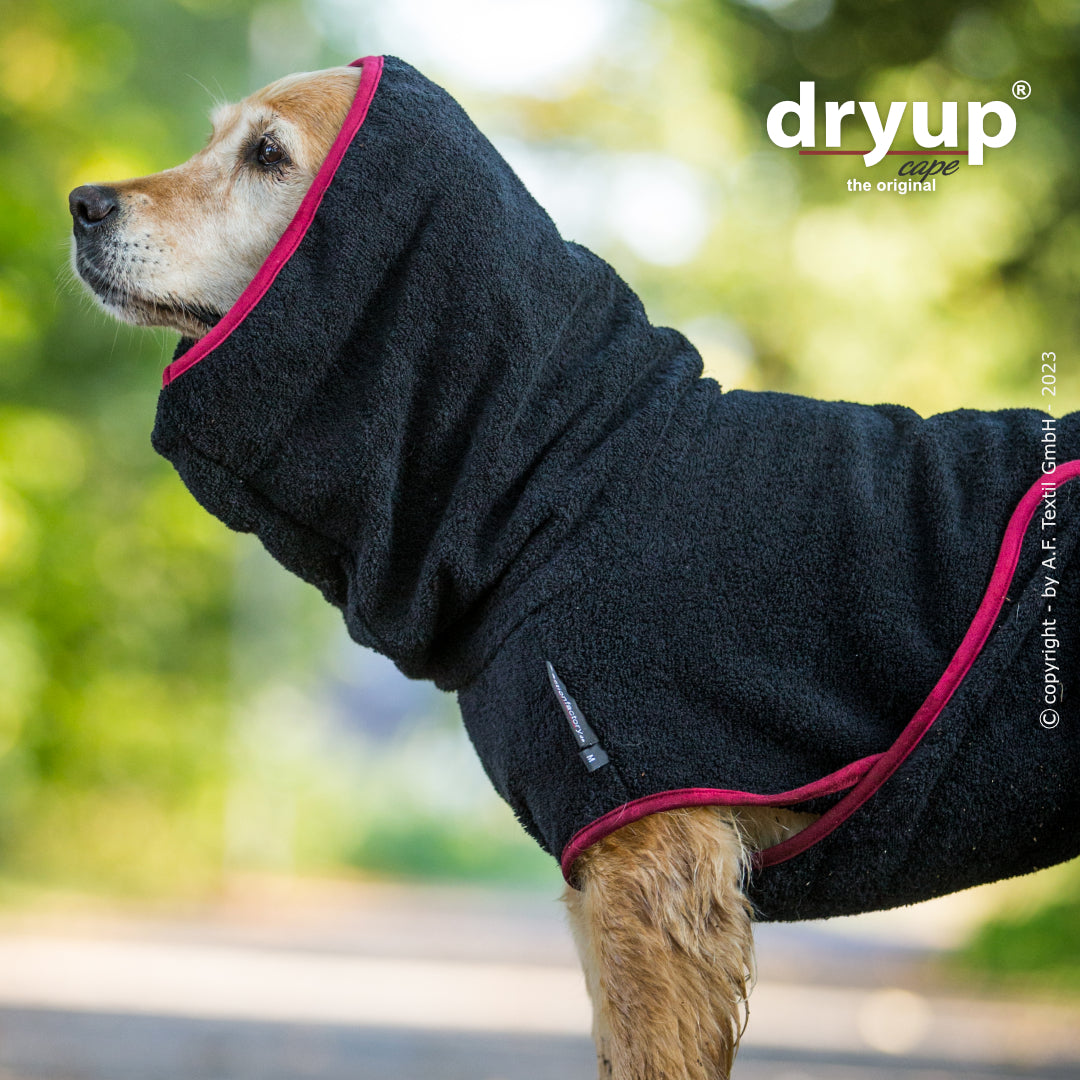 dryup® cape - Der original Hundebademantel - XS-XXL
