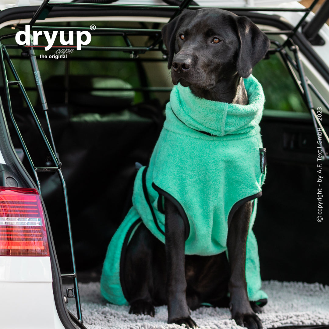 dryup® cape - Der original Hundebademantel - XS-XXL