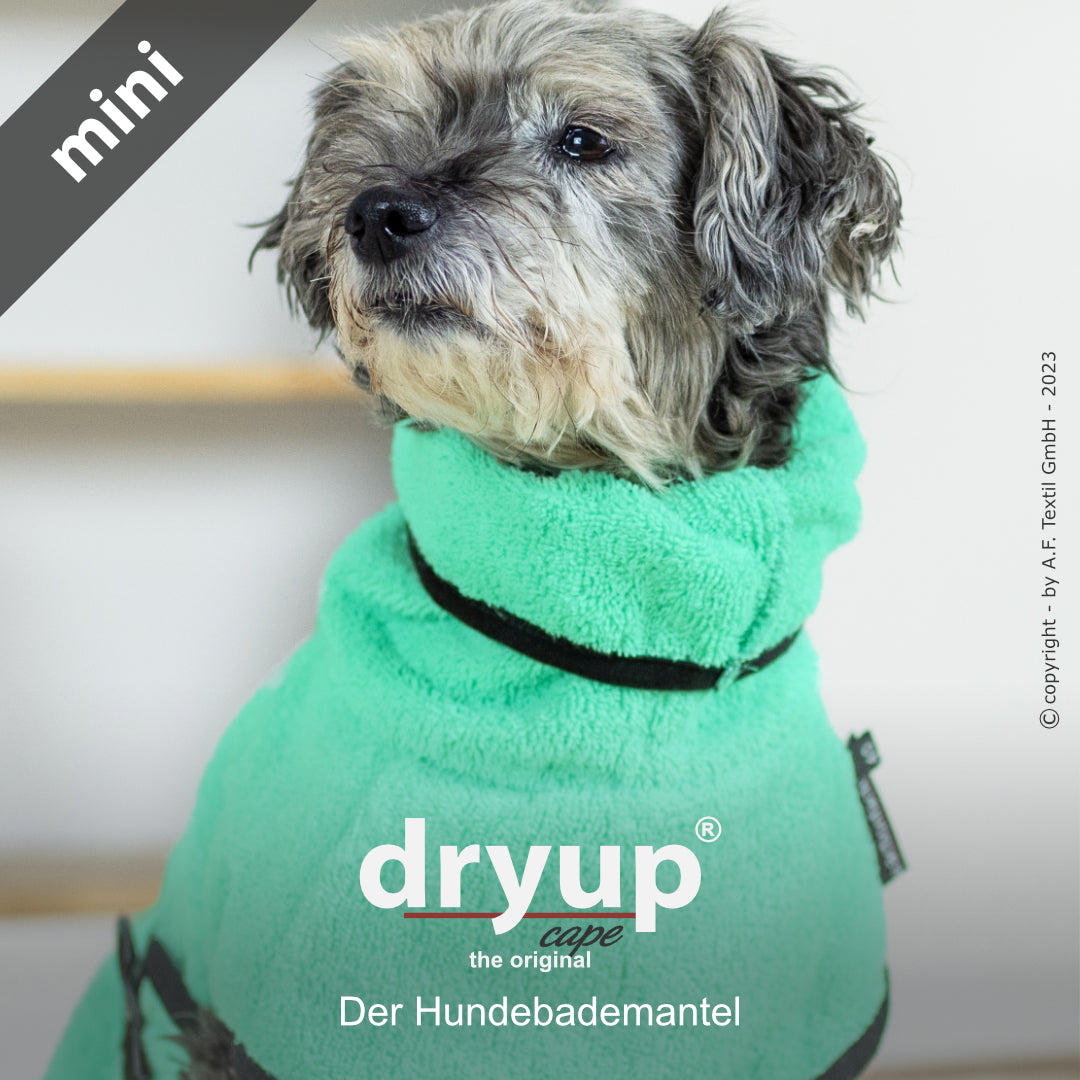 dryup® cape - Der original Hundebademantel - mini