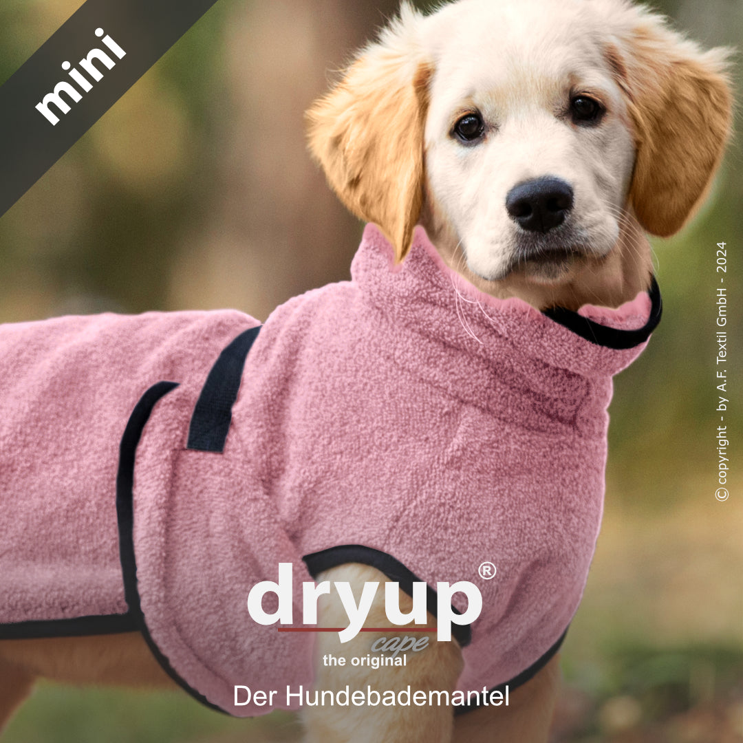 dryup® cape - Der original Hundebademantel - mini