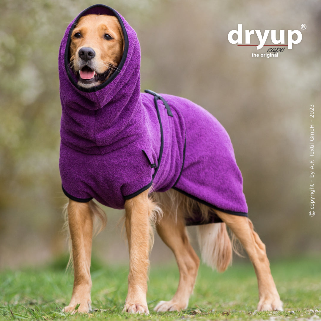 dryup® cape - Der original Hundebademantel - XS-XXL